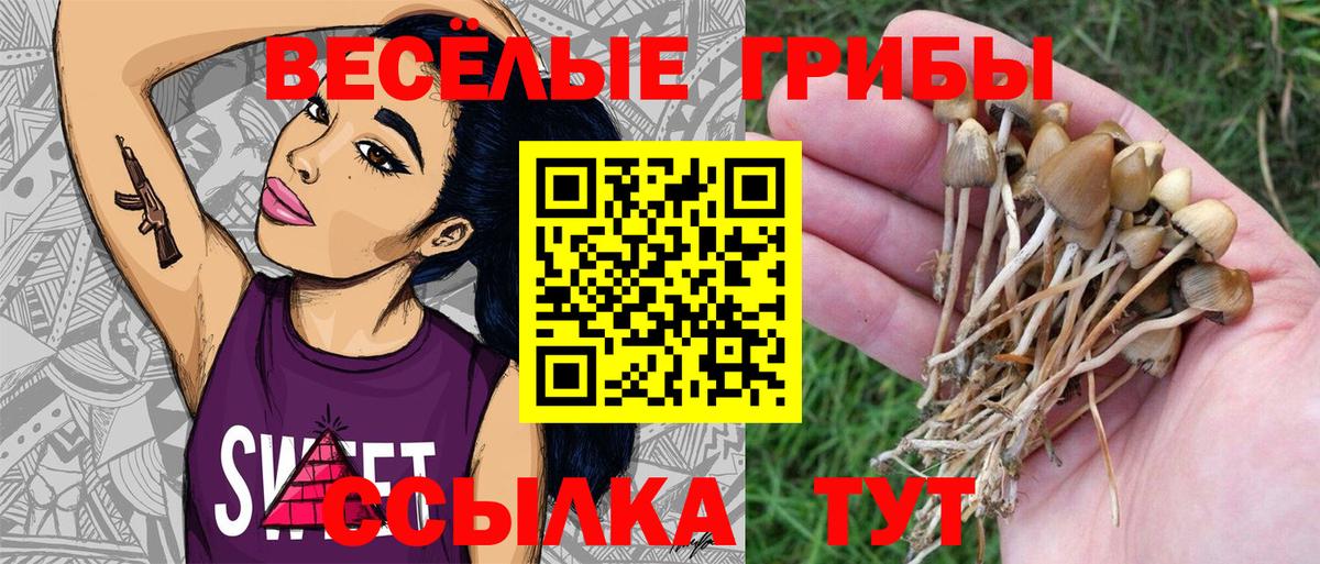 Лесной  Псилоцибиновые грибы мухоморы  Вход с VPN 